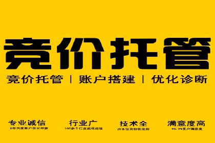 某电商平台的SEM服务托管全流程案例